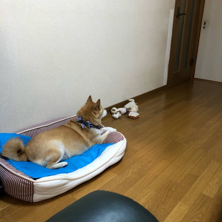 30e326ed 25a2 44b7 9c11 6b0830084059 1598002346460