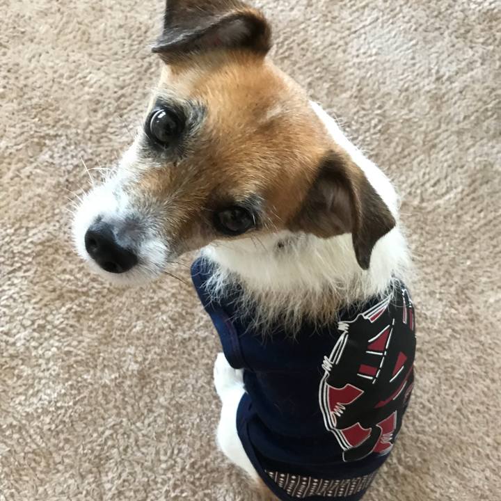 30e35480 d3d2 448c 9284 921ddba4b42f 1530233261702