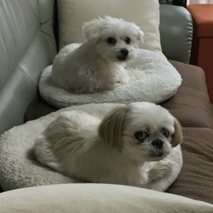 30e3583f 111e 4273 9aaf 098df274431b 1556150573971