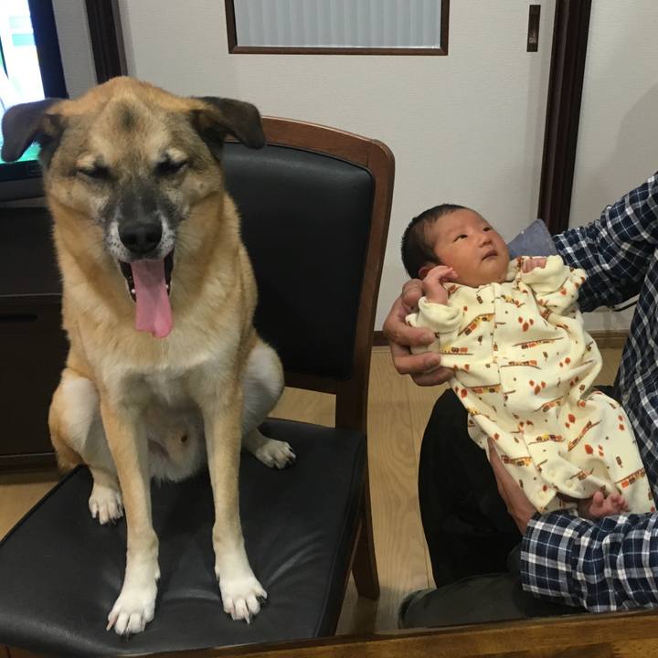 30e35e95 cf66 4b1e 8cf4 32ea8a6bb47d 1525006582224