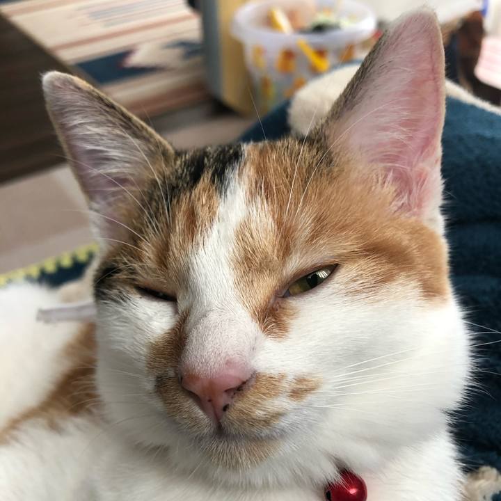 30e38644 f265 4aa5 a07c 77e0634e3e9c 1572147280601