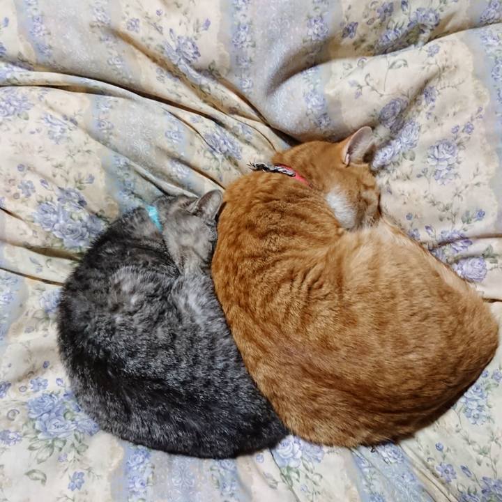 30e39436 2929 4cb0 8916 0fbf21f99887 1573386682406