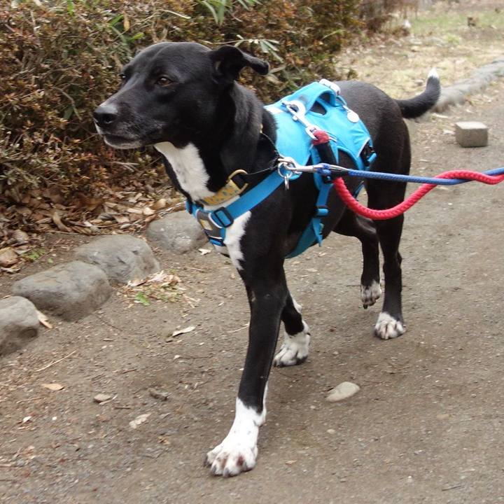 30e3d9d2 096b 4f22 92f9 19cb2a794960 1612744395821