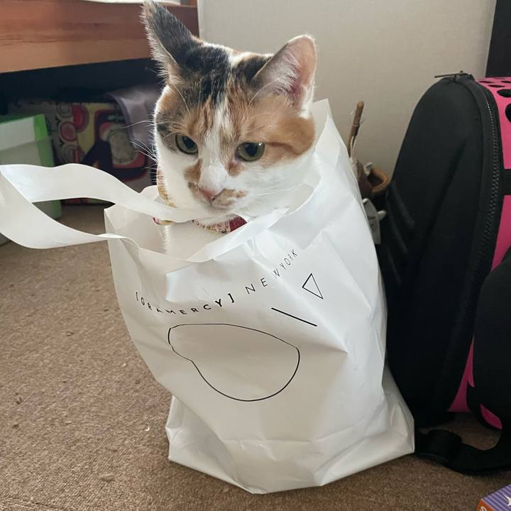 30e3e28c 2843 42a7 af05 f736e11dac86 1636676414116