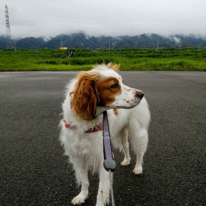 30e3ec5a c171 4b5d 8f1e 29a99962721c 1563064535563