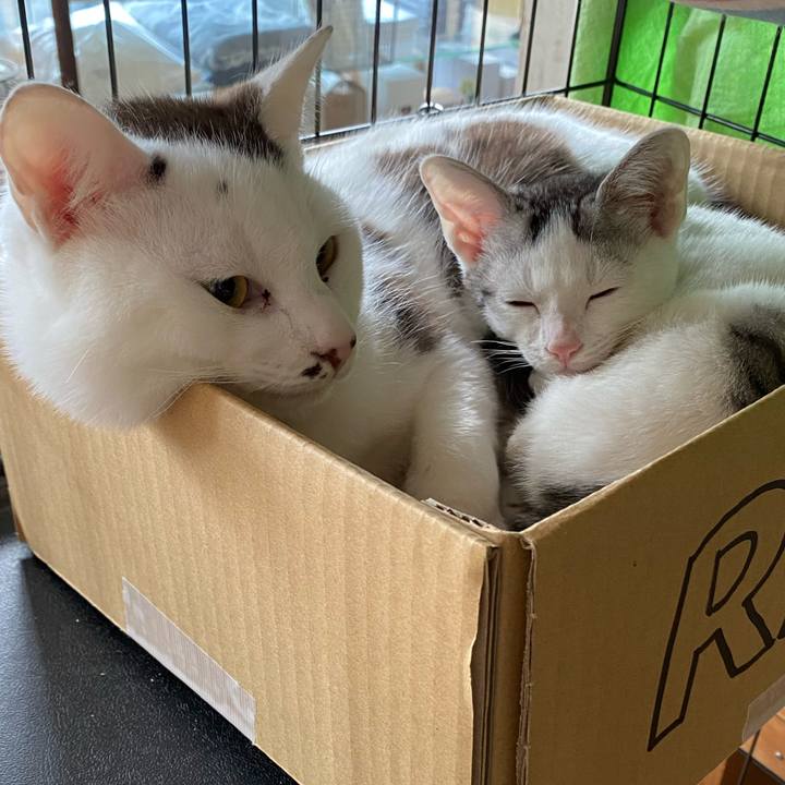 30e42243 4e9a 40cb 8c7f 2191229cfe1e 1701315829628