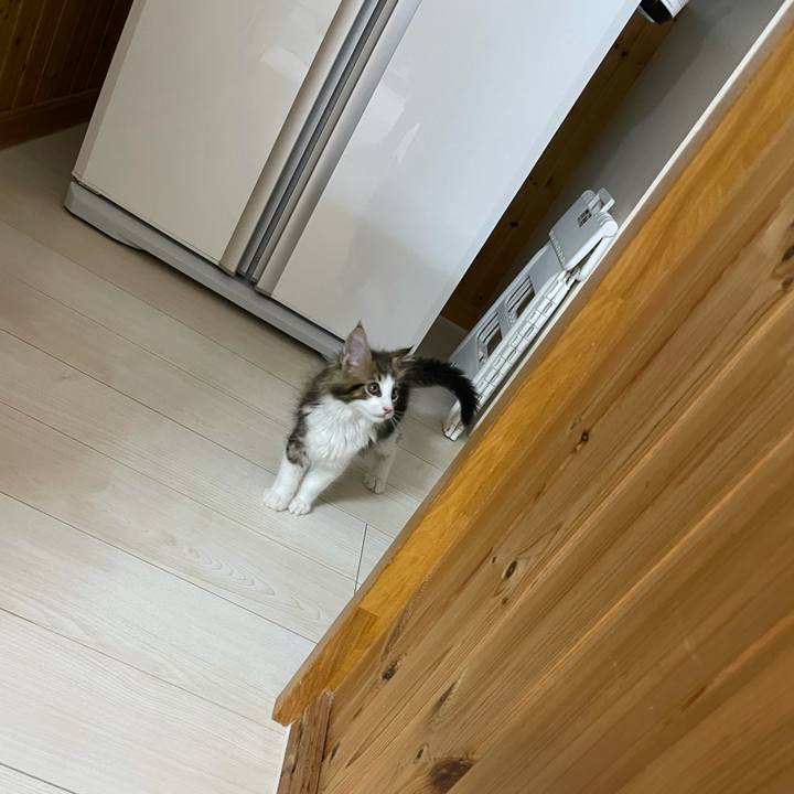 30e43279 8ad4 42a5 85a6 5170af5b8102 1631790887976