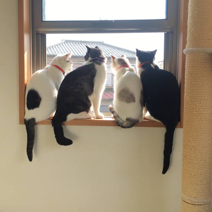 30e43e78 dcdc 4683 a810 673b75fb8280 1557529613141