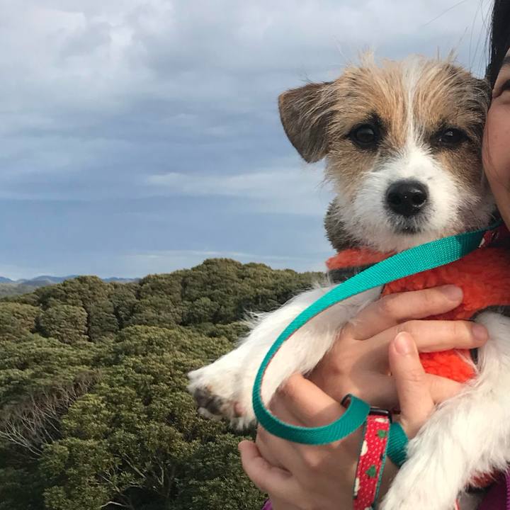 30e44d59 1e90 4ab1 82c6 fe5e03cee46d 1766582691787