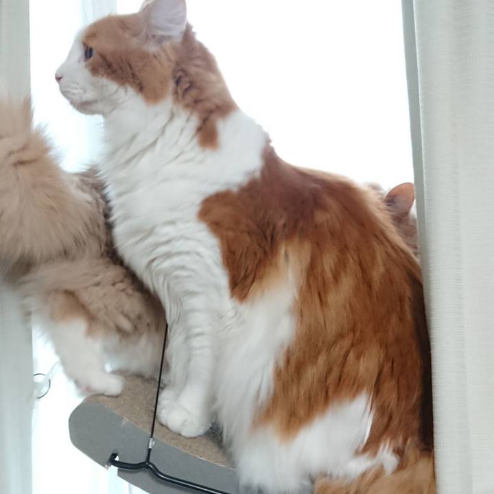 30e44e49 aa65 46cc b79b 912b35382713 1576732925865