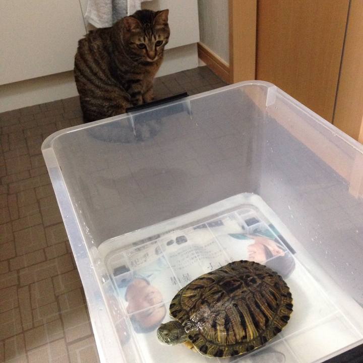 30e45c4f fe73 4cdc 86b6 226b8da6e277 1508643996379