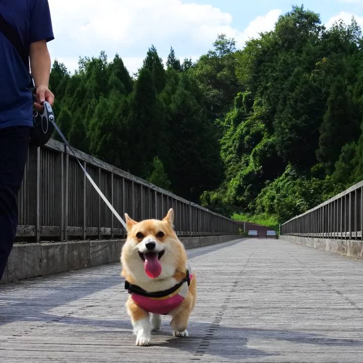 30e45d77 02cf 4afd a221 6beb83cdd761 1601045883707