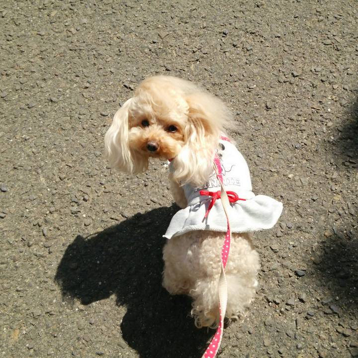 30e46e6e bece 4ec8 a508 1117e6316448 1521458182042