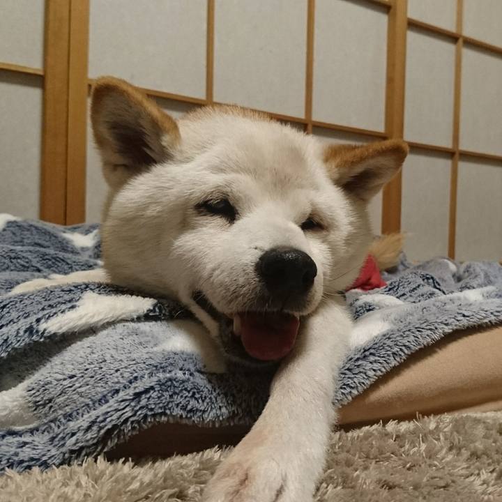 30e484a6 9d73 47c5 9663 1db1d68ea797 1508586256862