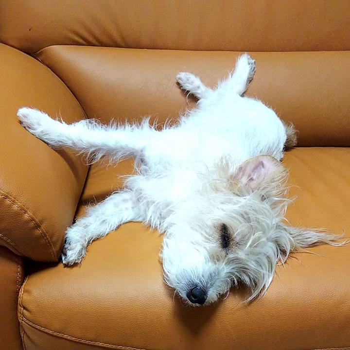 30e495e3 511a 4cca 8cde 5aae2f77e78a 1563194767286