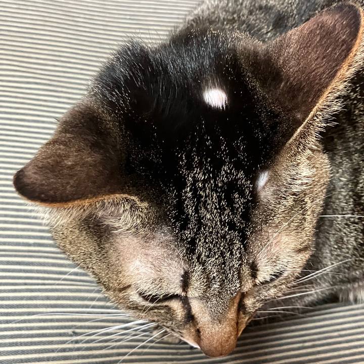 30e499b7 a002 4c88 9142 c6a56375b15f 1766474228459