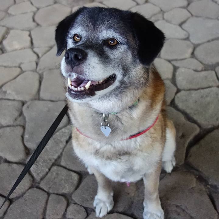 30e4c9d4 be76 4781 be9e b4b049314aec 1639616433911