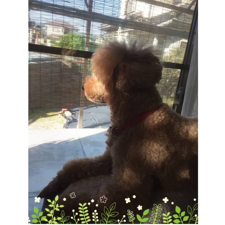 30e4ce8c 1f9c 47bb a2c6 9d61dbd42fbb 1526856041945