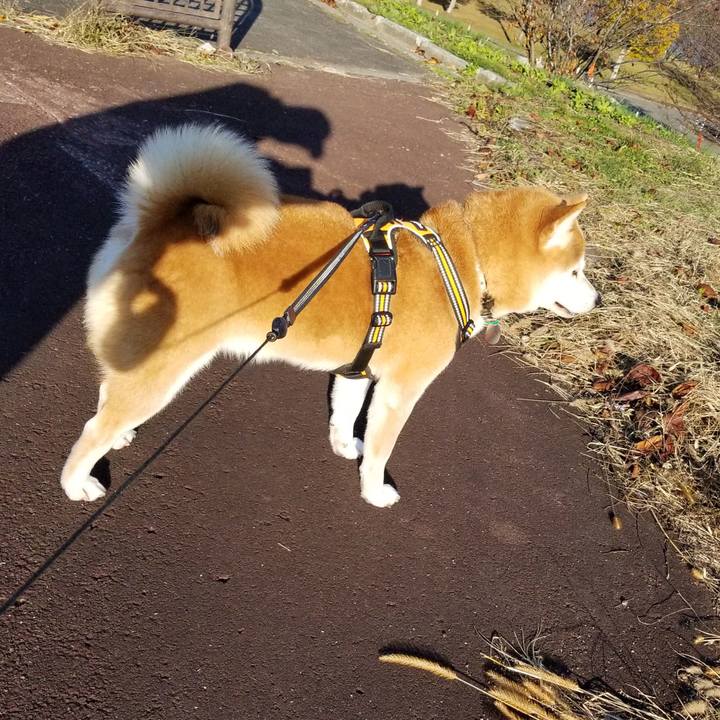 30e4f518 03fe 4ecb 9dcf 51bcd874f53c 1604557052420