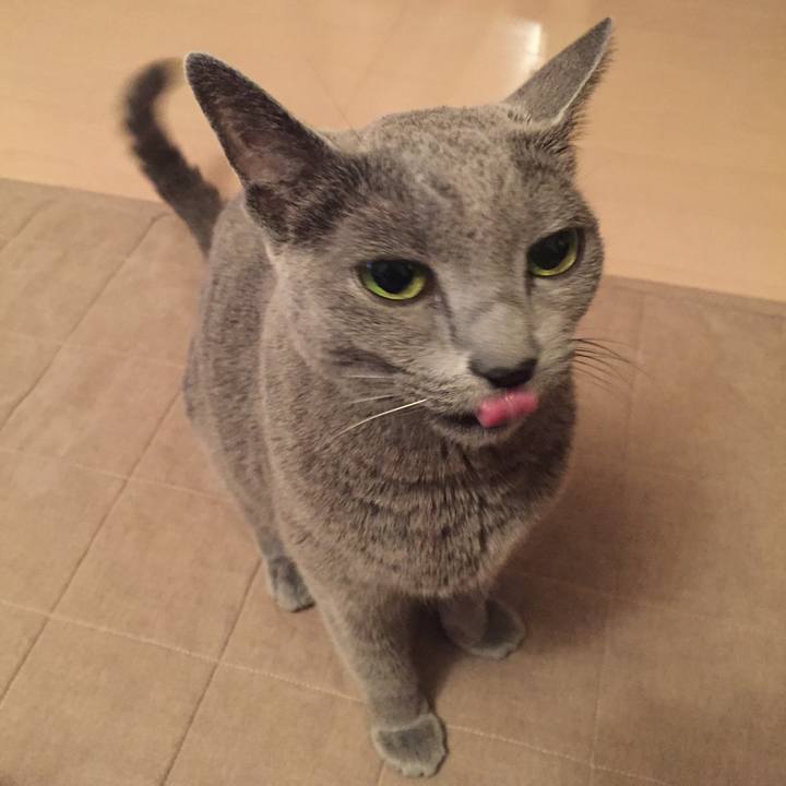 30e50186 50e3 4de9 a14f cbbdced5a83b 1541718263785