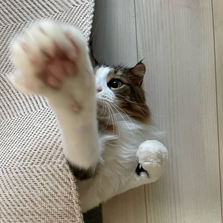 30e5051a 5728 4cd3 a5c2 eff8323dd640 1660681329528