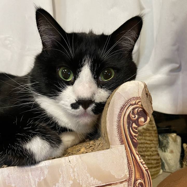 30e50fb7 f46f 49eb 8555 d542a8df24cf 1721741416198