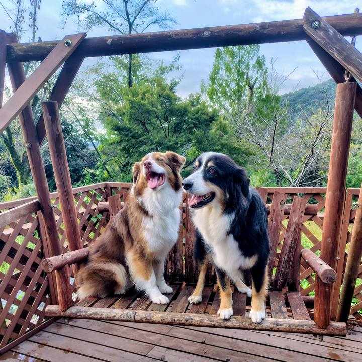 30e5bd29 2a1a 4f79 94d0 3403a0894e93 1760267904938