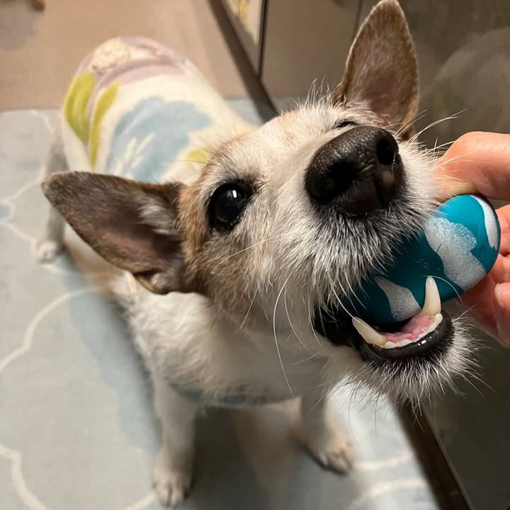 30e5cb34 6c4e 4f7c b836 ed666099511c 1711495166134