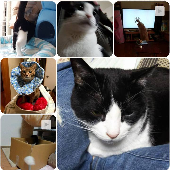 30e5d687 f5bc 41aa 8bb2 934f51bc61fd 1556509242395