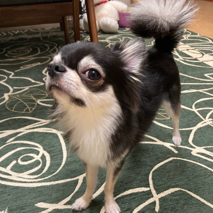 30e5d952 d10b 4ed8 9c09 1f9dd77f4cd8 1632577475520