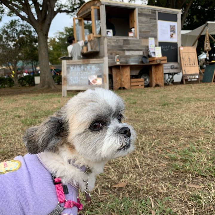 30e654c6 c19f 4bdf 96a9 77c2bf4521ef 1572155797283