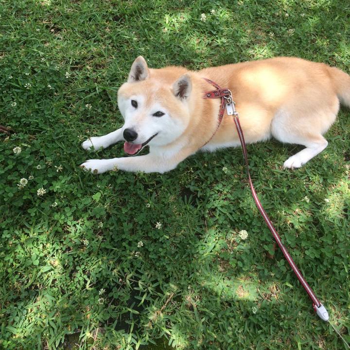 30e65c92 3cdc 402e b5bd 89c0c2dbf1c0 1604498817051