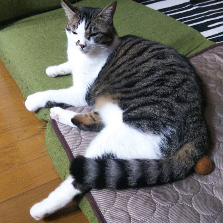 30e6ab8c c370 421a 9513 236604ae7471 1634594115768