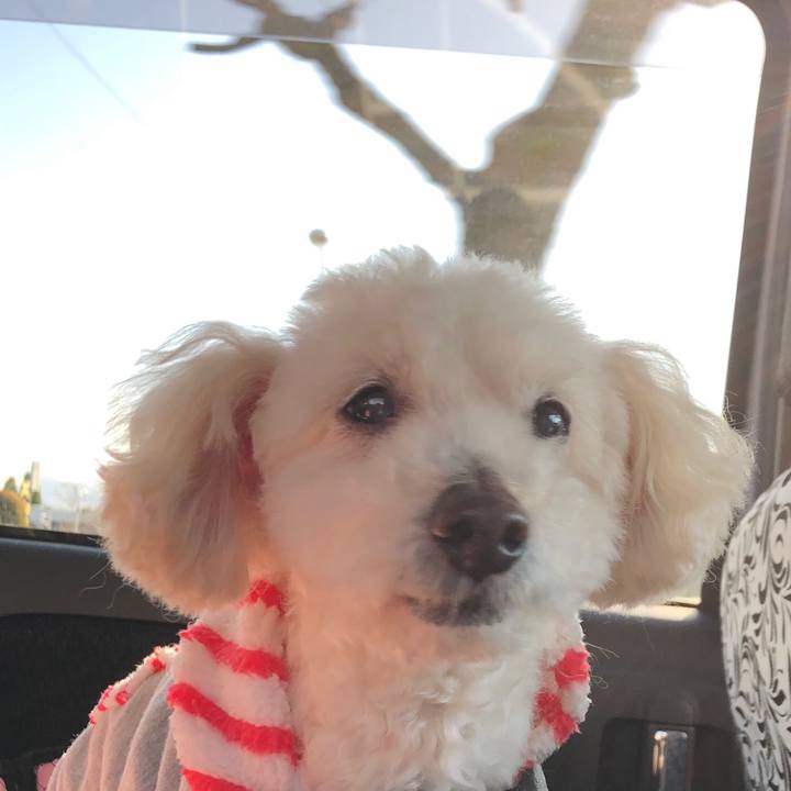 30e6cf97 a74d 41d6 831b 043704dc833c 1553401130682