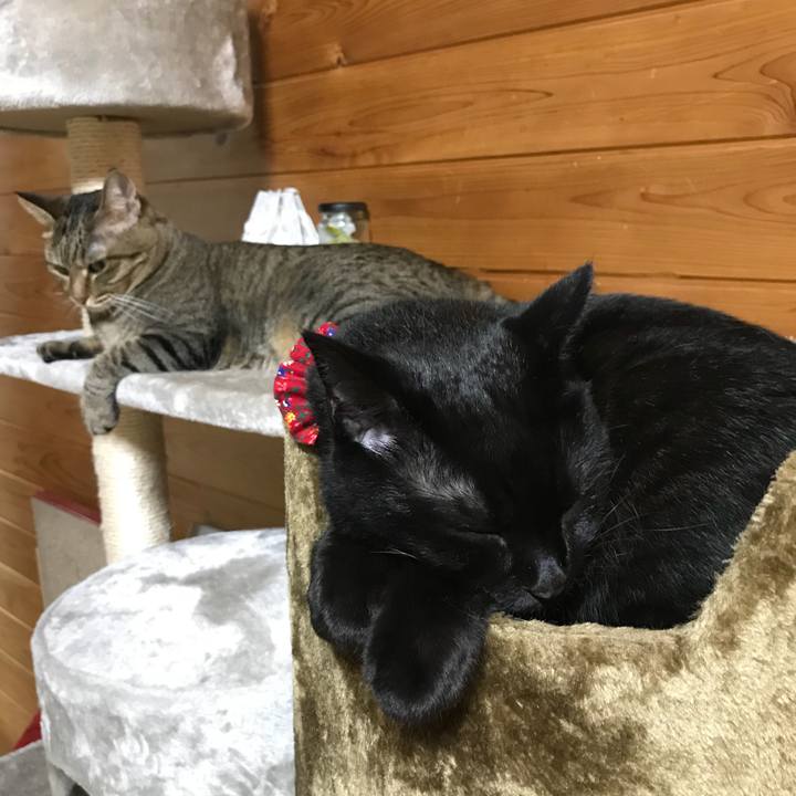 30e6d556 d44e 425c 8eb4 91fd0e0ef4a3 1531317353262