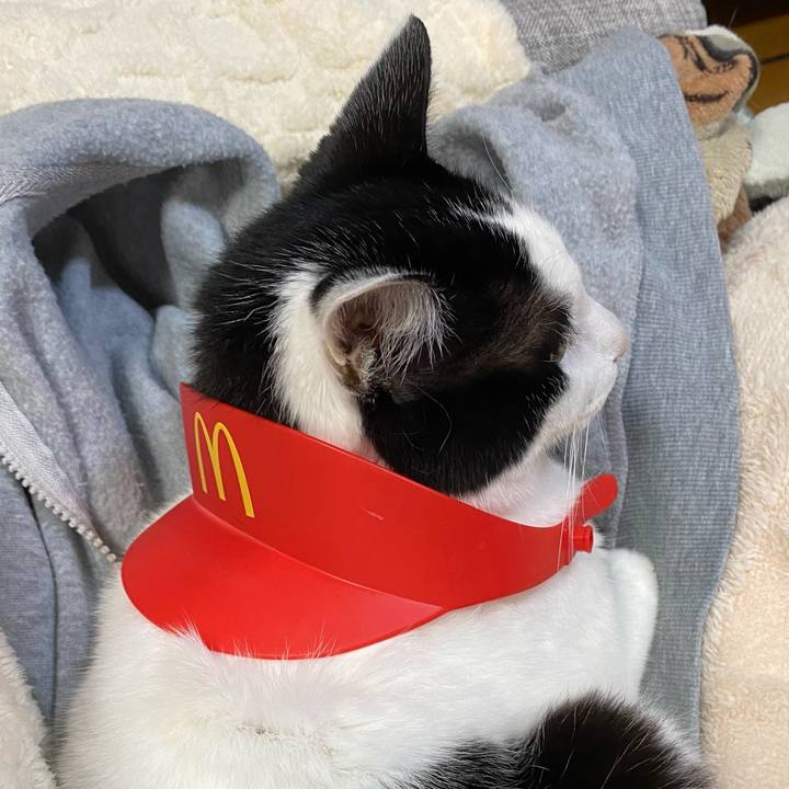 30e6f713 a765 4c03 b421 63da528d23c4 1709636875092