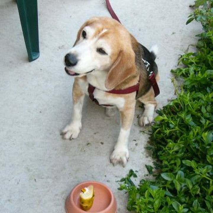 30e7363f ab13 4829 bbc2 6a945817d9a3 1642209221448