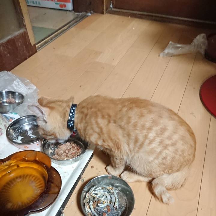 30e75346 9b4a 447e 93ac a1760e4aaaec 1634031406716