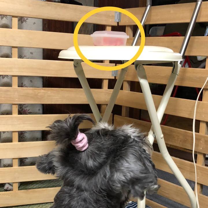 30e7b1fd 580a 43fa 8d21 1db5f1976a00 1626186566288