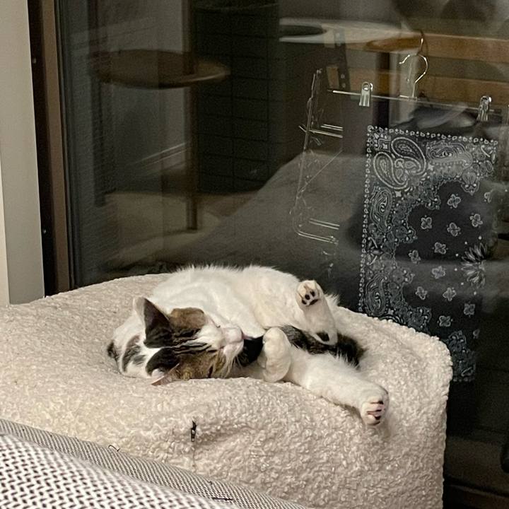 30e7b507 452c 4524 aecb 48062f078e27 1764589242764