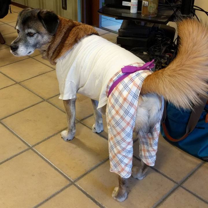 30e7e538 eabc 4b10 8e94 a9dbec65757e 1515718372458