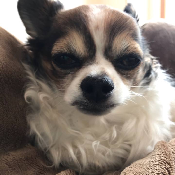 30e83030 c59e 47e6 b3f0 c0cb682b8f7e 1581381961580