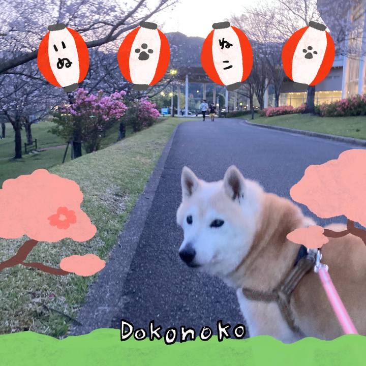 30e8470f b190 4243 8b7e 3ad957fa042e 1712681088759