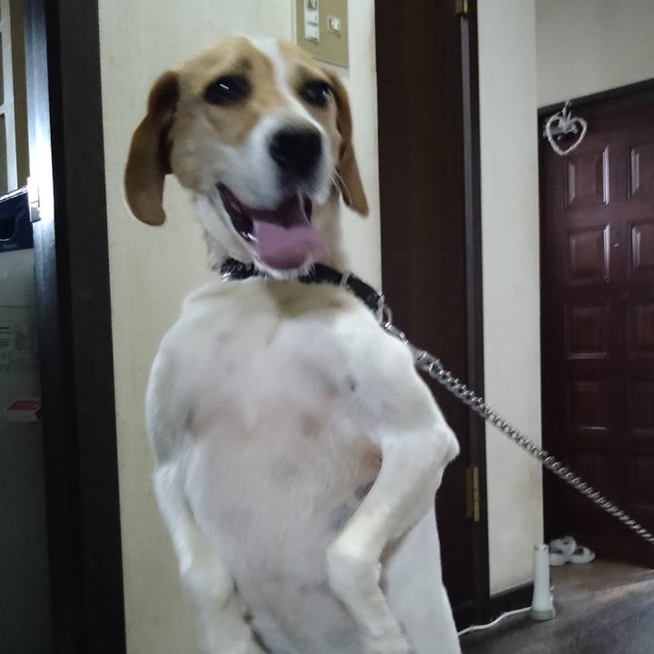 30e85ed3 83e2 44de b28d 778f0ef55461 1626062540034