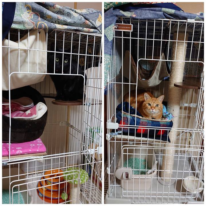 30e89a54 3db8 49c8 9567 9651f933dd80 1546959258532