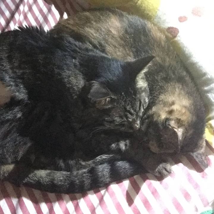 30e8fb2b db08 4fb7 a886 02bfe6094d12 1534531960779