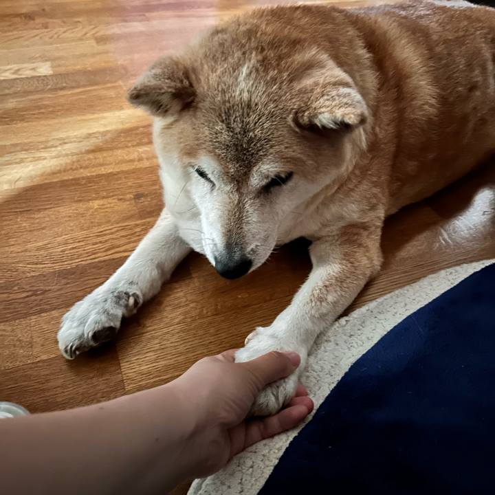 30e93478 2bd0 41ed b3ea 41dfd032bbc8 1751535296153