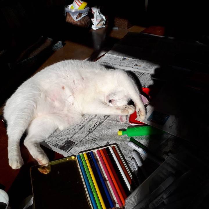 30e97d12 553e 4e06 baa8 1ffd6ce27735 1571393700007