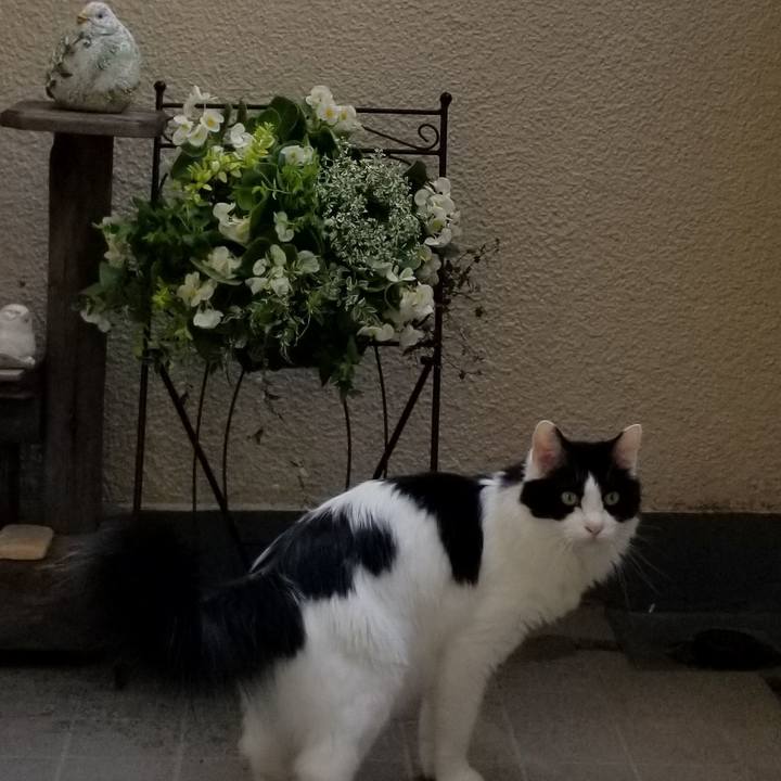 30e98f23 d6b0 4539 a589 154735a5ea63 1592196510695