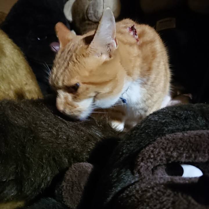 30e99cb7 d0c6 4643 8850 ce8d61f187c0 1606213385179